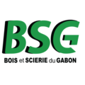 BSG logo