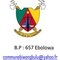 Com. Mengong-Biwong Bulu logo