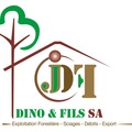 DINO&FILS logo