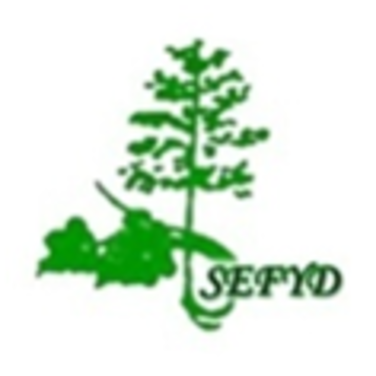 SEFYD logo