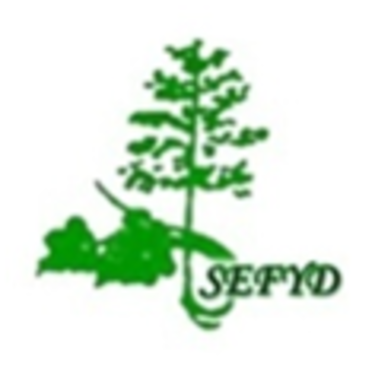 SEFYD Open Timber Portal