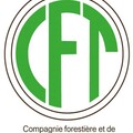 CFT logo